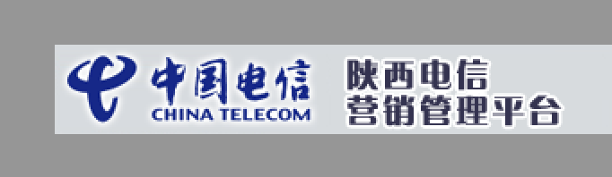 中国电信综合营销管理平台